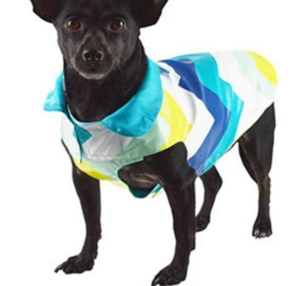 bailey and bella sweaters